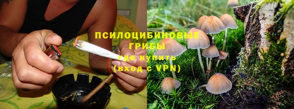 соль ск Абдулино
