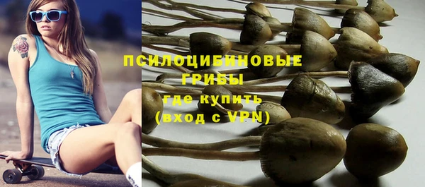 соль ск Абдулино