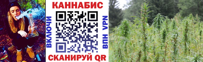 Шишки марихуана сатива  наркота  Тотьма 
